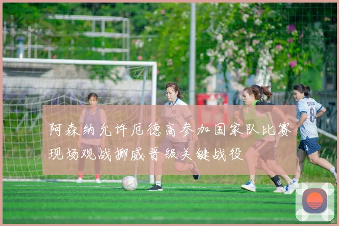 阿森纳允许厄德高参加国家队比赛现场观战挪威晋级关键战役