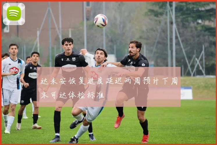 达米安恢复进度延迟两周预计下周末可达体检标准